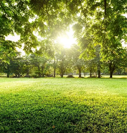 Parc de la Madeleine